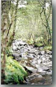 barban13.jpg (21656 bytes)