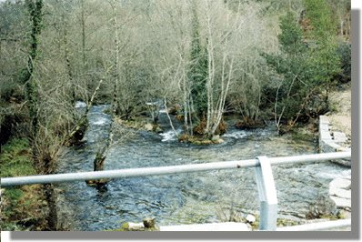 devaca10.jpg (40098 bytes)