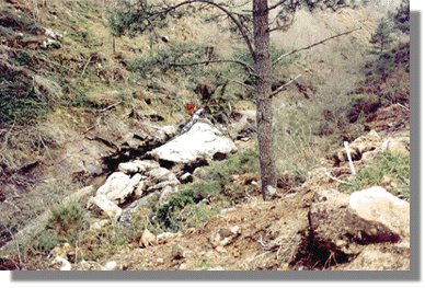 devaca2.jpg (44062 bytes)