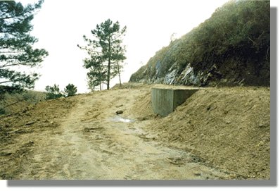 devaca3.jpg (32217 bytes)