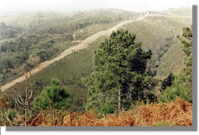 devaca5.jpg (34322 bytes)