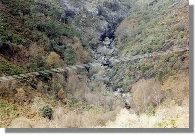 devaca6.jpg (38340 bytes)