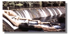 escala.jpg (14572 bytes)