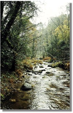 san3.jpg (38576 bytes)