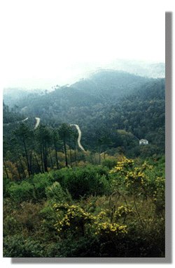 san5.jpg (22053 bytes)