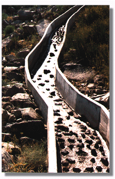 Carre2.GIF (65316 bytes)