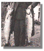 Our72.GIF (20848 bytes)