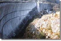 albare1b.jpg (11566 bytes)