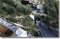 albare4b.jpg (12999 bytes)