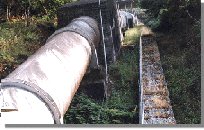 albare7b.jpg (11016 bytes)