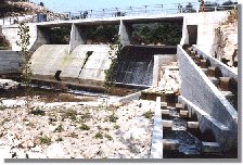 barba81b.jpg (16532 bytes)