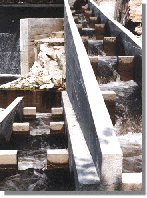 barba83b.jpg (12594 bytes)