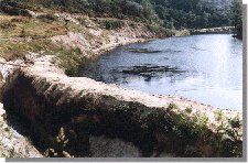 barba87b.jpg (13890 bytes)