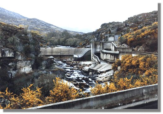 linare25.jpg (60331 bytes)