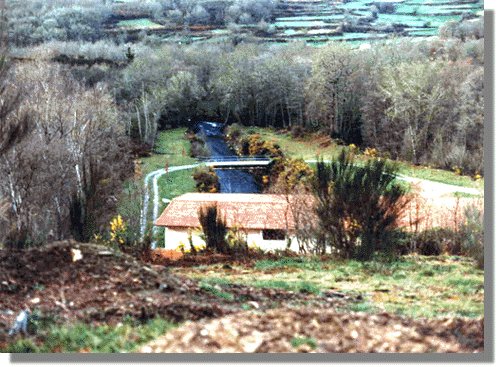 linare26.jpg (68657 bytes)