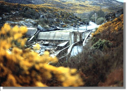 linare27.jpg (64379 bytes)