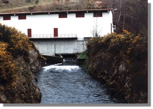 linare28.jpg (49223 bytes)