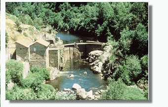 destru.GIF (66808 bytes)