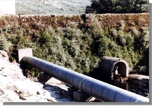 bubal1.jpg (68777 bytes)