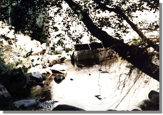 bubal10.jpg (77261 bytes)