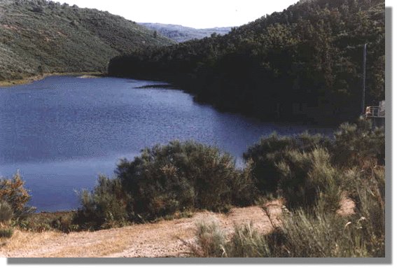 bubal4.jpg (49981 bytes)