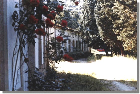 bubal8.jpg (62153 bytes)