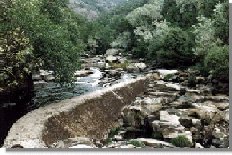 mpeneb1.jpg (16720 bytes)