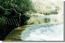 mpeneb2.jpg (12183 bytes)