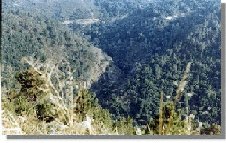 mpeneb3.jpg (15252 bytes)