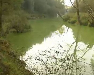 O aspecto do r�o Umia mete medo... A Xunta est� tranquila...