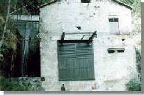 peneb11.jpg (10849 bytes)