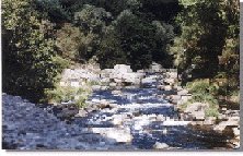 peneb9.jpg (14819 bytes)