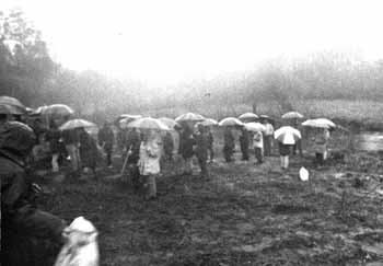 A Xunta a cortar �rbores e os veci�os a plantalos. 