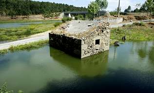 Cola do encoro do Umia.