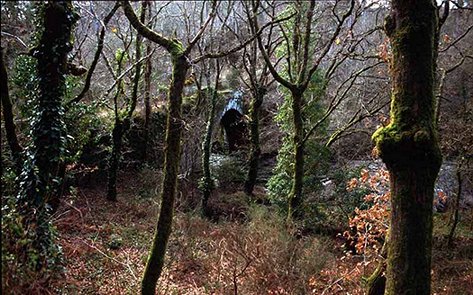 Fotograf�a sensacional da Ponte do Areal. Un lugar que tam�n quedar� anegado polo encoro.