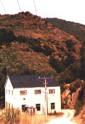 Cal5.jpg (39370 bytes)