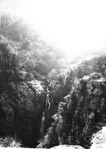 Galicf3.jpg (50393 bytes)