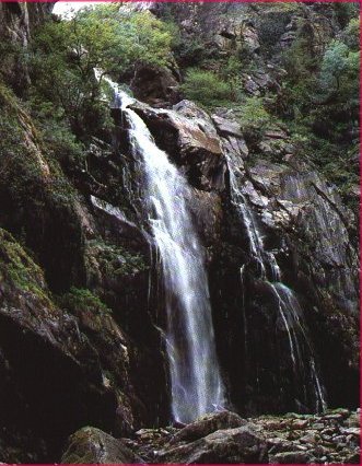 Galitx.jpg (50915 bytes)