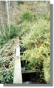 san14.jpg (22759 bytes)