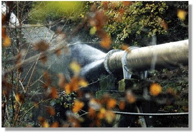 san17.jpg (36013 bytes)