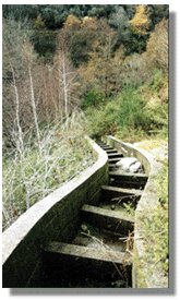 Escala truchera para truchas voladoras.