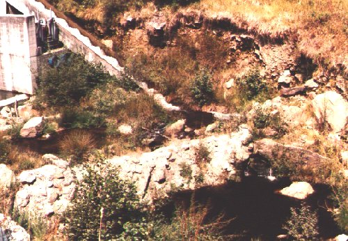 Tun2.jpg (74160 bytes)