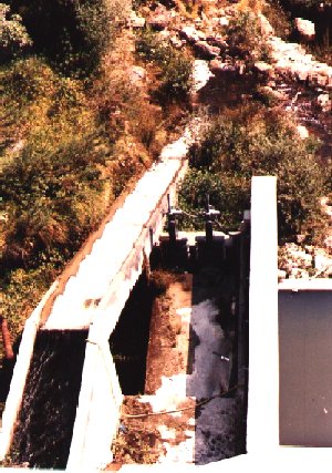 Tun4.jpg (51084 bytes)