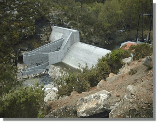 cerves50.jpg (60660 bytes)