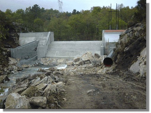 cerves52.jpg (56326 bytes)