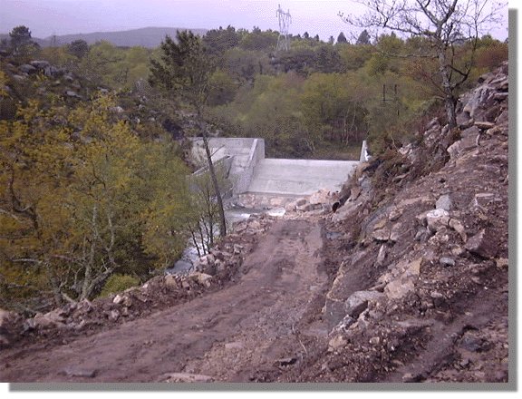 cerves56.jpg (79746 bytes)