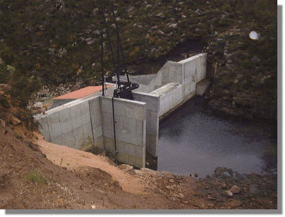 cerves59.jpg (62883 bytes)