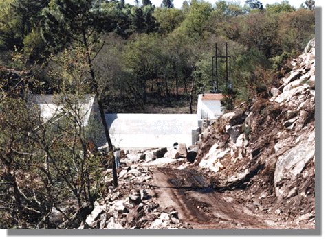 cervesim1.jpg (66843 bytes)