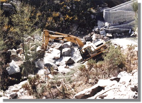 cervesim2.jpg (66951 bytes)