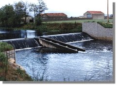 lim34.jpg (15987 bytes)